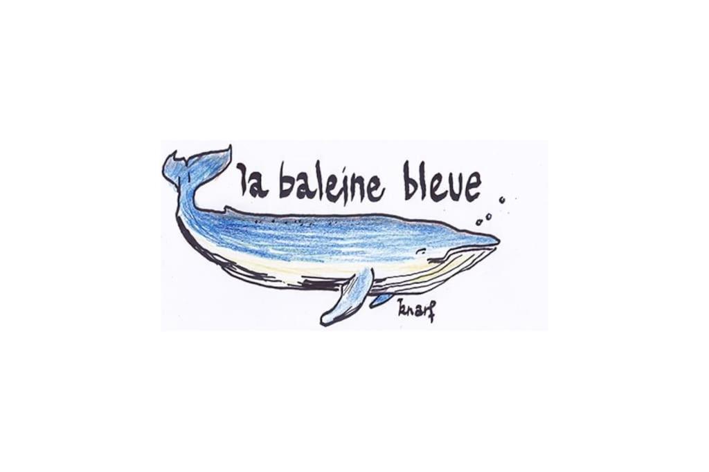 La Baleine Bleue Apartment Saint-Aubin-Sur-Mer  Exterior photo